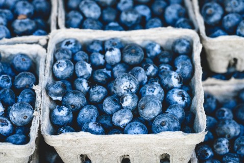 Utilizzo dei mirtilli in una dieta